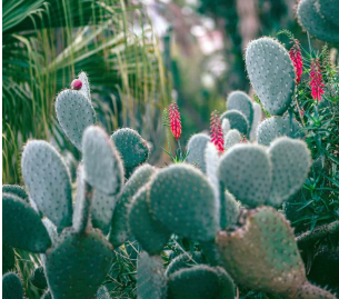 Hero blog image for <a href="/blog/2020-01/aprendiendo-sobre-la-union-en-la-naturaleza">vista</a>
