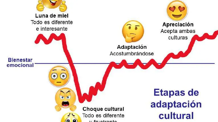 Etapas de la adaptación transcultural