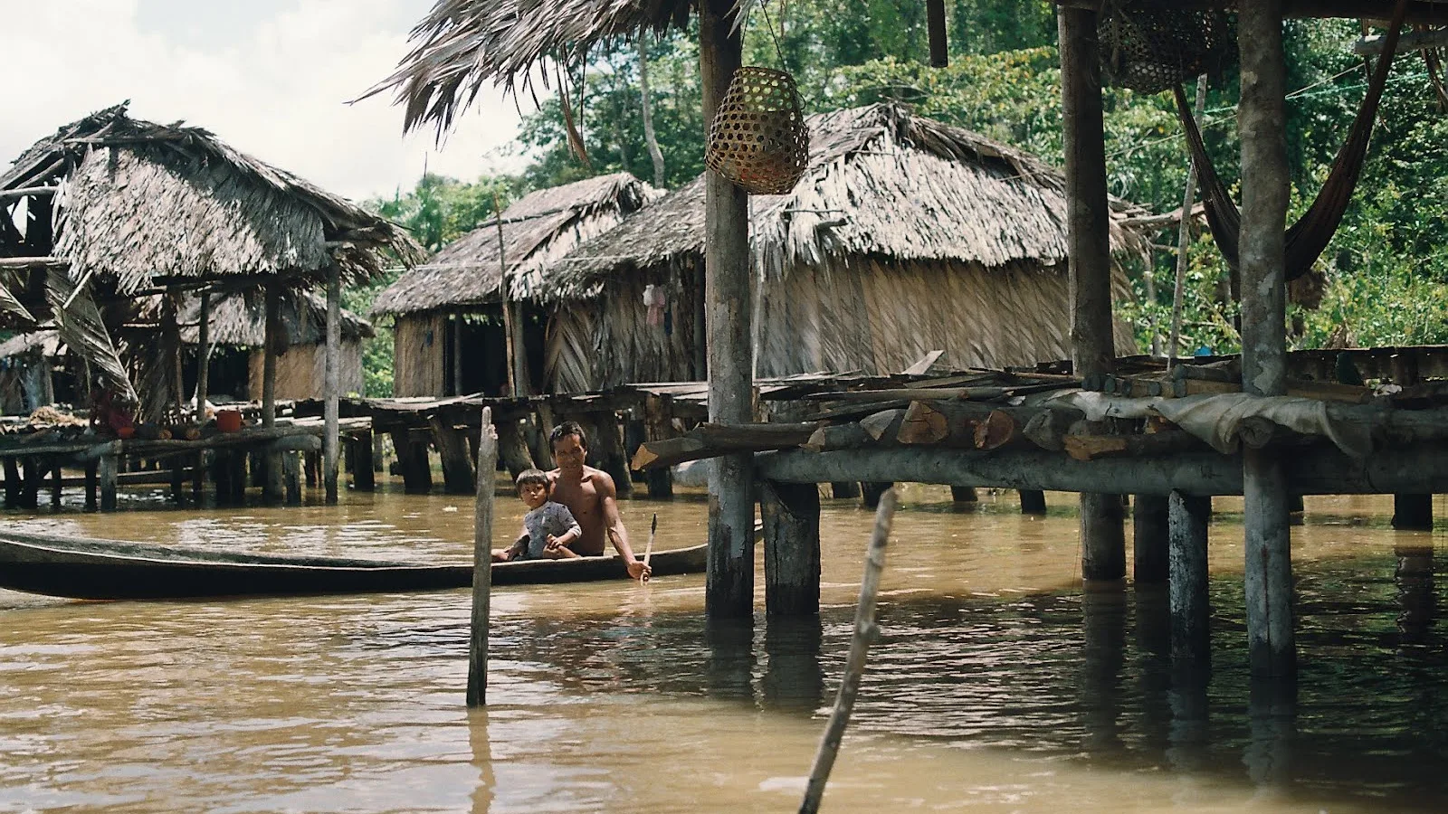 Hero blog image for <a href="/content/un-llamado-de-la-selva">vista</a>