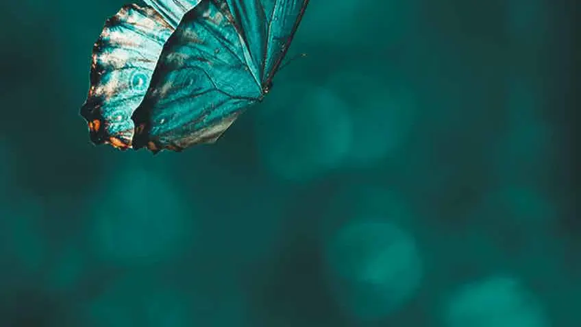 Sorpréndelos al recibirlos