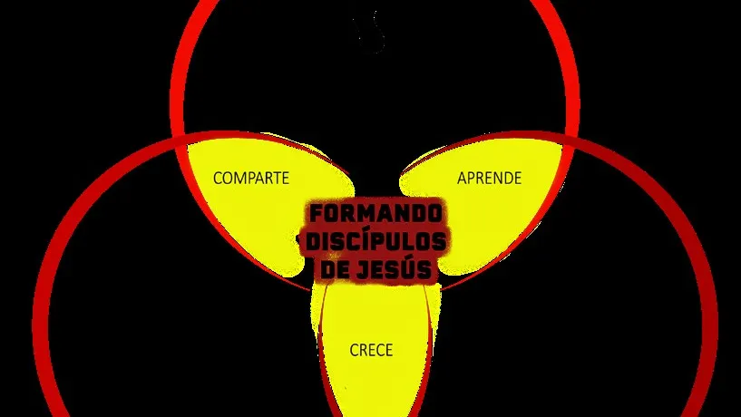 Ver a Cristo en nuestra vida