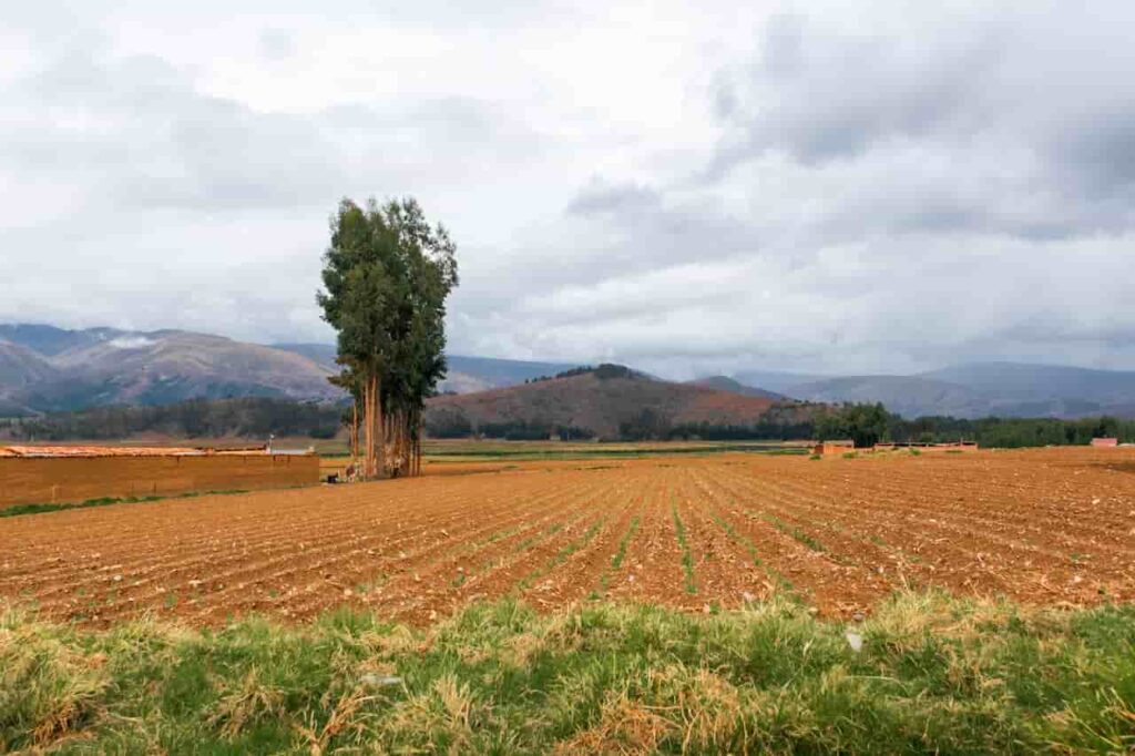 Foto de Gilmer Diaz Estela: https://www.pexels.com/es-es/foto/paisaje-montanas-campo-agricultura-10343792/