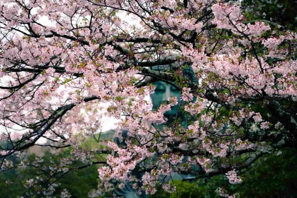 Foto de Nicola Toscan: https://www.pexels.com/es-es/foto/33390904/