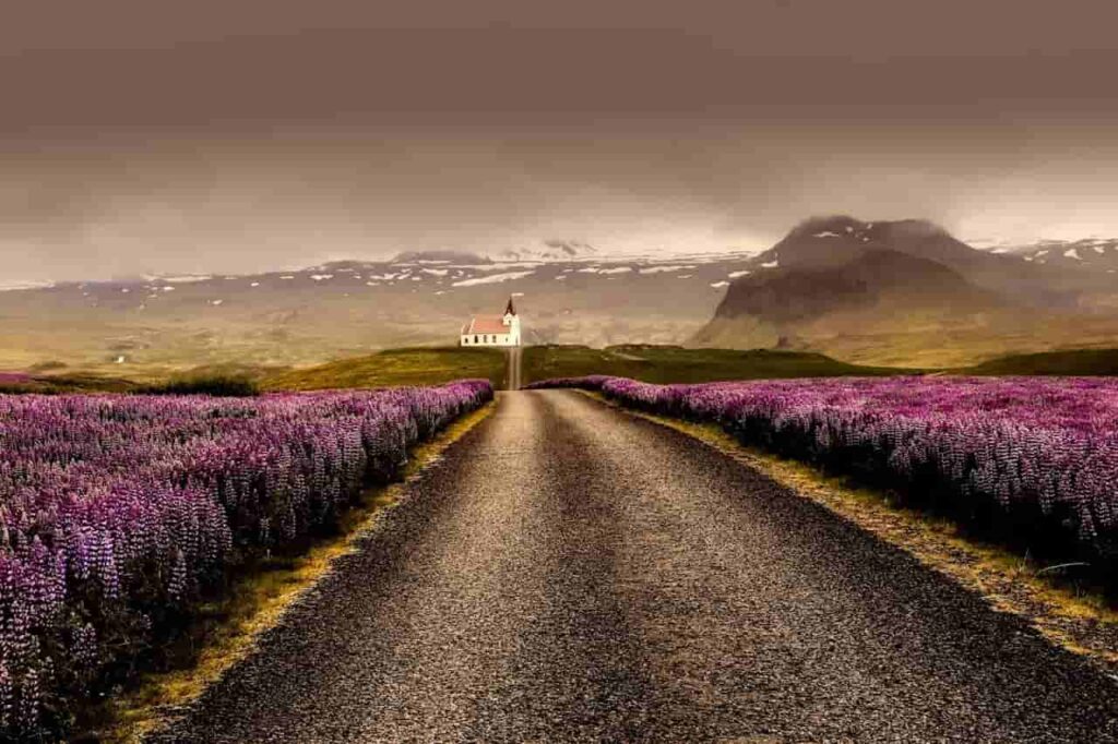 Foto de Pixabay: https://www.pexels.com/es-es/foto/camino-gris-rodeado-de-campo-de-flores-moradas-459038/